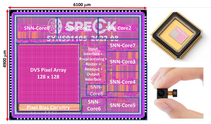 图为类脑神经形态系统级芯片Speck。（中国科学院自动化研究所供图）