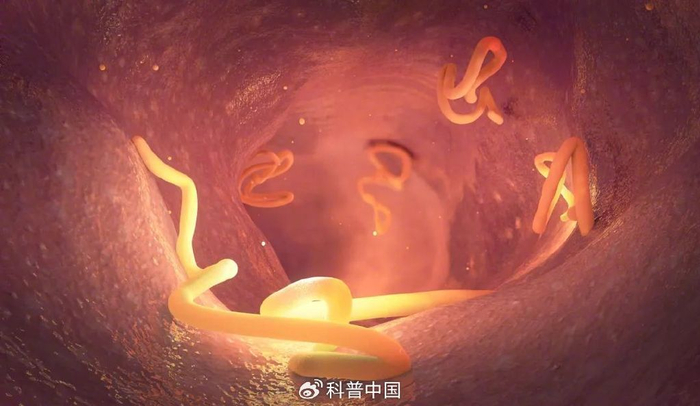 图库版权图片，不授权转载