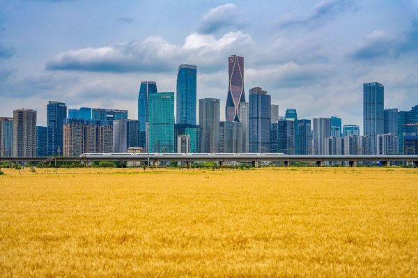 图片来源：央视新闻