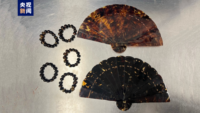 △玳瑁工艺制品