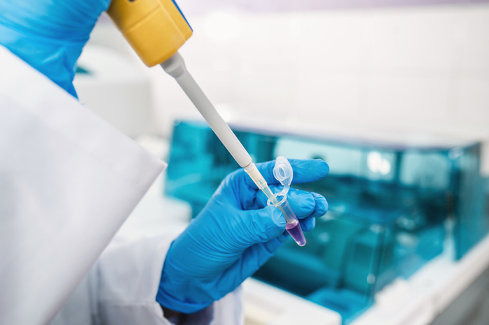 图片来源：图虫创意