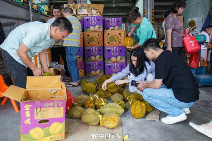 △消费者在水果批发市场选购榴莲。（图片由CNSPHOTO提供）