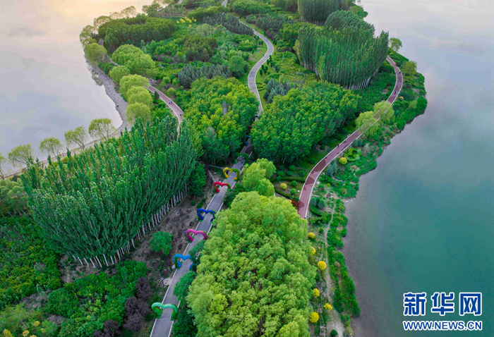 6969图为6月2日拍摄的张掖国家湿地公园.