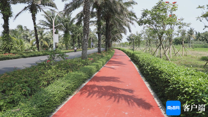 改造后的东屿岛海绵步道。记者 苏桂除 摄