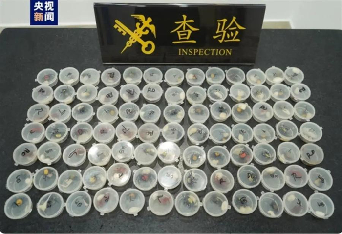 （图源：央视新闻）