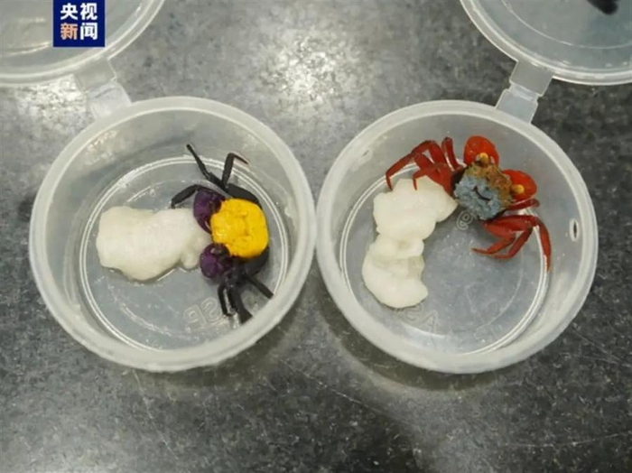 （图源：央视新闻）