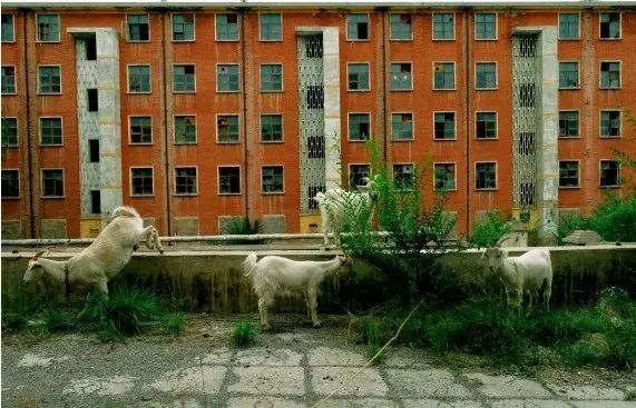 甘肃玉门的一些地方被称为“鬼城”，有很多空置的房子。（图/图虫创意）