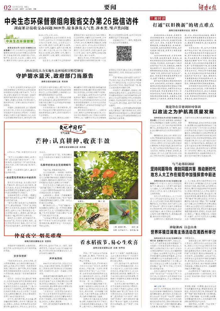 文化中国行·节气湖南丨芒种:认真耕种,收获丰盈