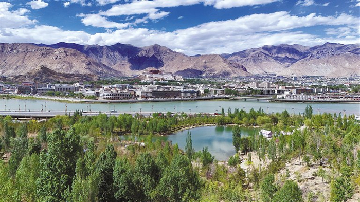 图为拉萨南北山绿化工程一角。（无人机拍摄）记者　潘多　摄