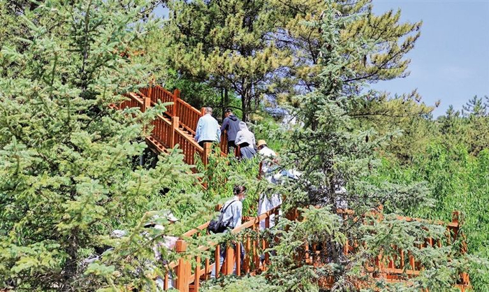 　雅玛图森林公园成了休闲好去处