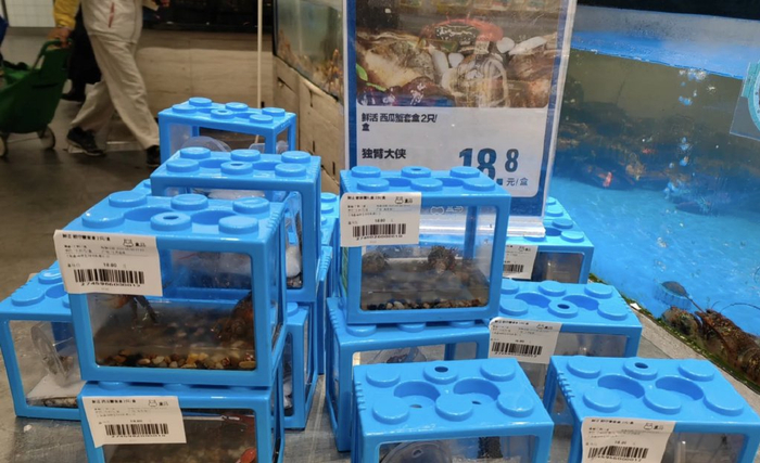 朴朴也紧急上架了带饲养盒和饲料的小甲鱼和甲鱼孵化套盒。