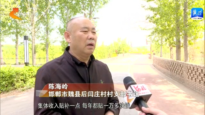 邯郸市魏县后闫庄村村支部书记 陈海岭:集体收入贴补一点,每年都贴