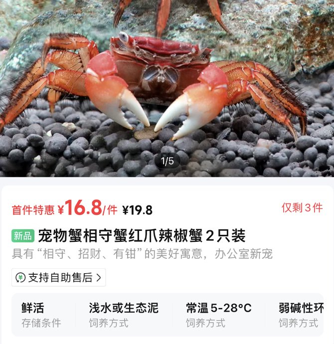 也许是因为价格便宜，也许是因为物流快，在买菜APP卖宠物的风潮越来越盛行。