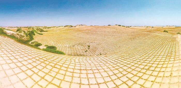 　赤峰市翁牛特旗科尔沁沙地的固沙草方格。草原云记者 孟和朝鲁摄