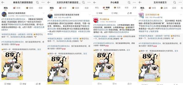 品牌挚友共同为吾皇猫送上祝福，以上为随机展示