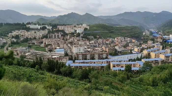 很多人对隐居生活有一种过度的浪漫化想象。（图/受访者供图）