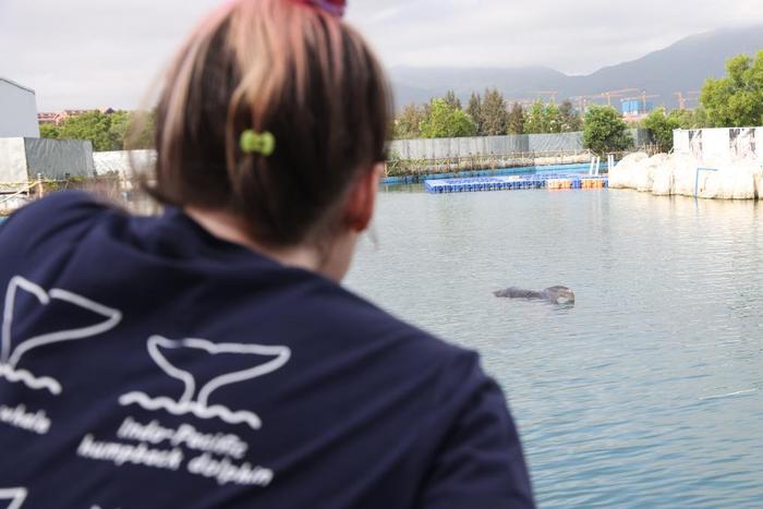 2月28日，阿加莎在三亚海昌生物保育中心看望一头被救助的短肢领航鲸。
