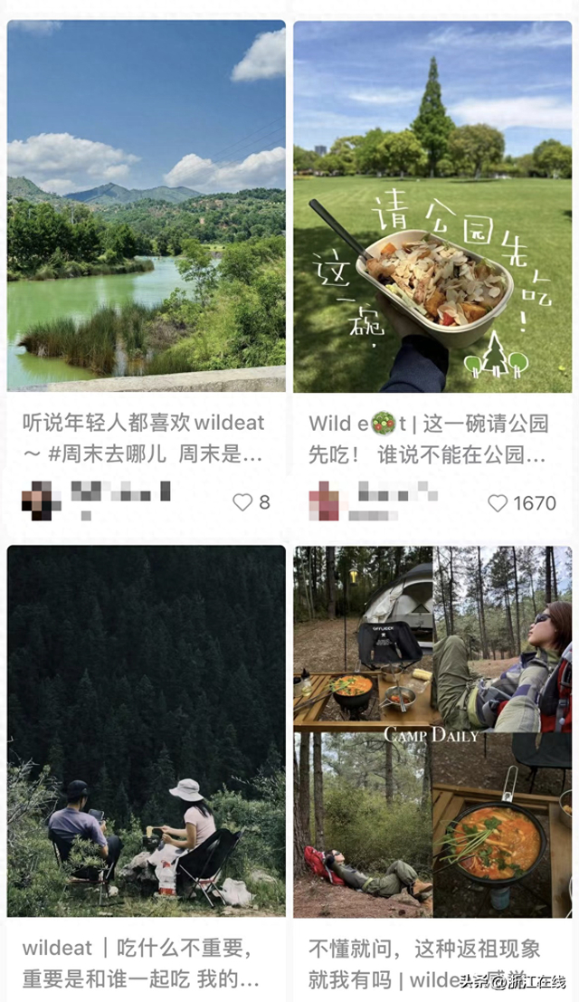 Wildeat在社交平台走红