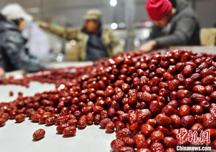 新疆昆玉有较完善的红枣产业链(资料图)。史玉江 摄
