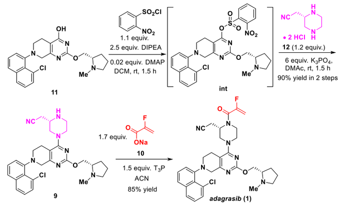 Scheme 7. 2nd SNAr Reaction and Amidation