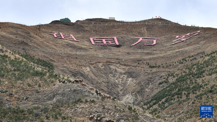   拉萨南山公园工人们利用骡子运送树苗（2022年5月7日摄）。新华社记者晋美多吉 摄