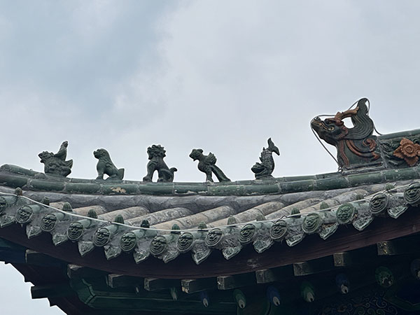 文化中国行|走近屋脊上的顶"脊"天团