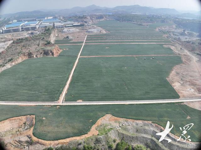 650亩小麦全景图。（资料图）