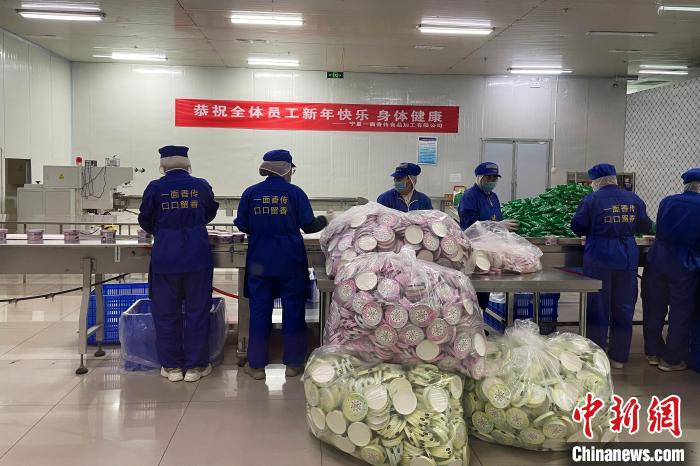 欣荣村预制菜加工车间生产线上，村民变身工人，正在忙碌中。中新网记者 李佩珊 摄