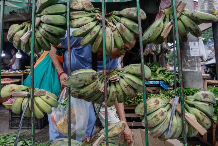 “越南超菲律宾，成中国最大香蕉供应国”