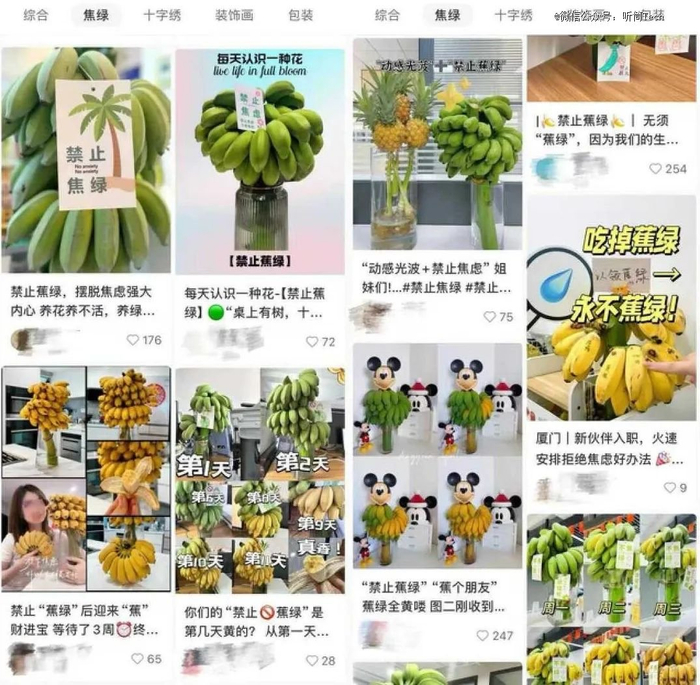 图：社交平台上关于“蕉绿”的内容
