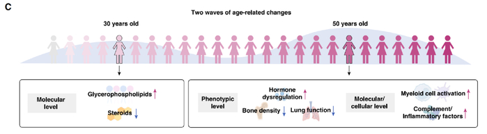 两个时间节点的“断崖式衰老”