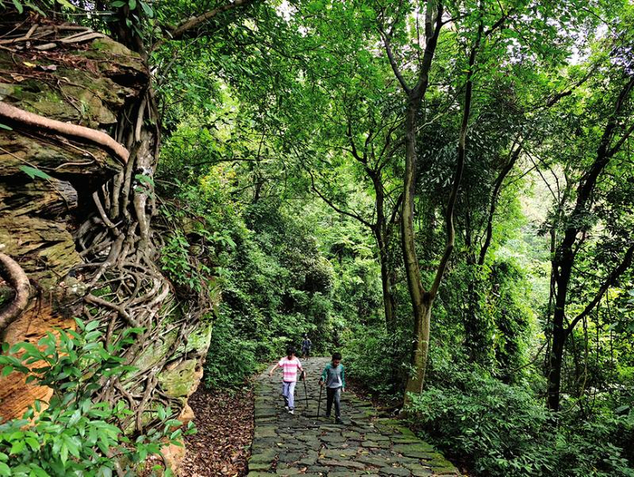     南宁青秀山古道满目苍翠 本报记者黄红锦 摄