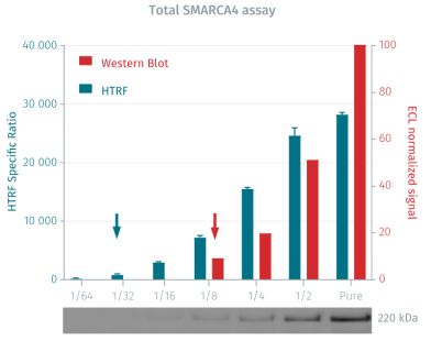 图7：HTRF总SMARCA4检测与WB技术比较