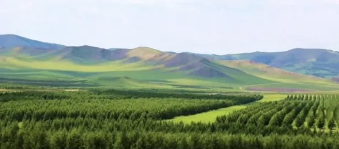 内蒙古乌兰坝国家级自然保护区远景