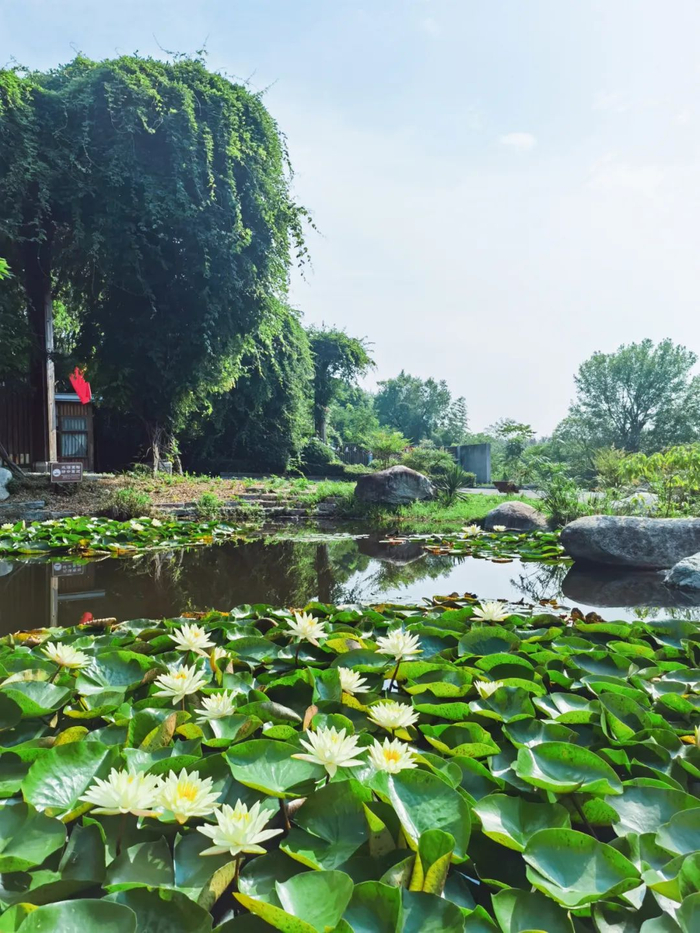 图片来源：楚王车马阵景区