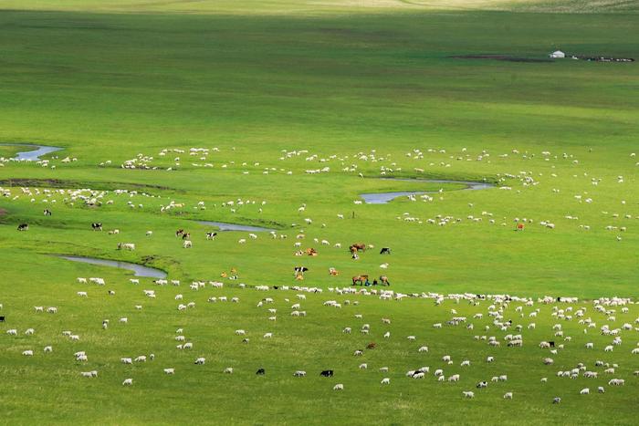 锡林郭勒盟东乌珠穆沁旗草原。（通拉嘎 摄）