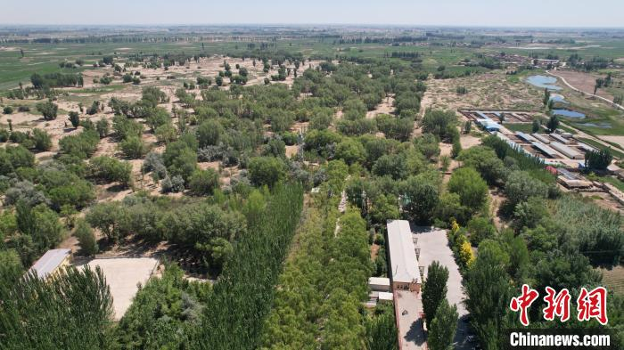 影像记录下的内蒙古生态奇迹