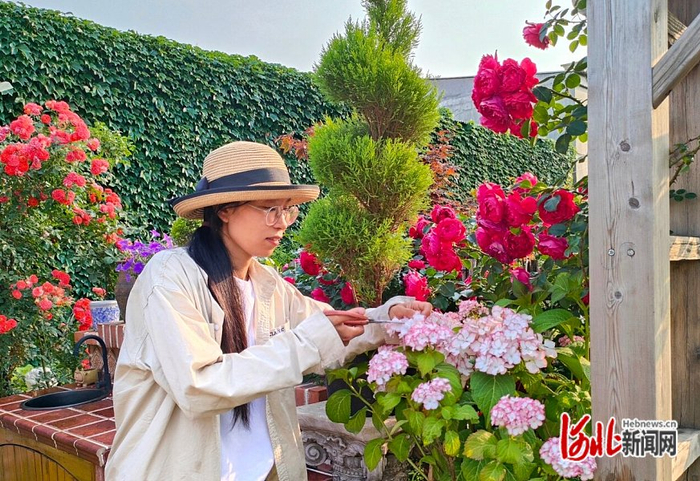 5月21日，伍俊在“豆豆花园”打理花草。 河北日报记者 孙青摄