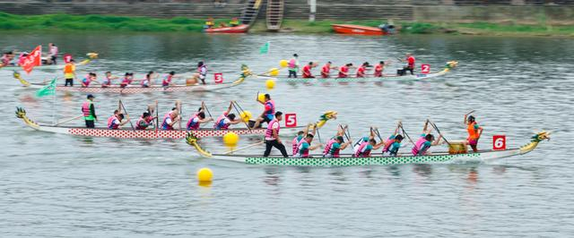 赛龙舟（图源：新华社）