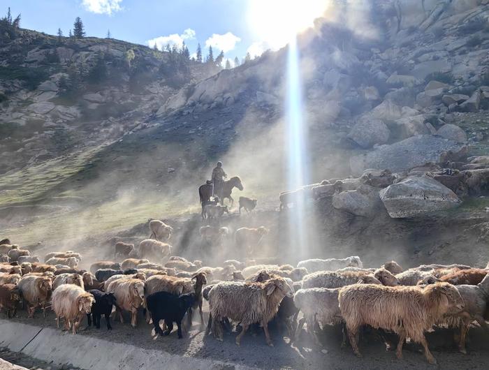 天山南北：新疆文旅热的透视 新疆 旅游 景区 游客 阿勒泰地区 公路 阿曼 民宿 天山 村民 sina.cn 第4张