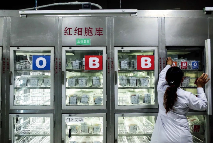 河北廊坊市中心血站红细胞库。图/视觉中国