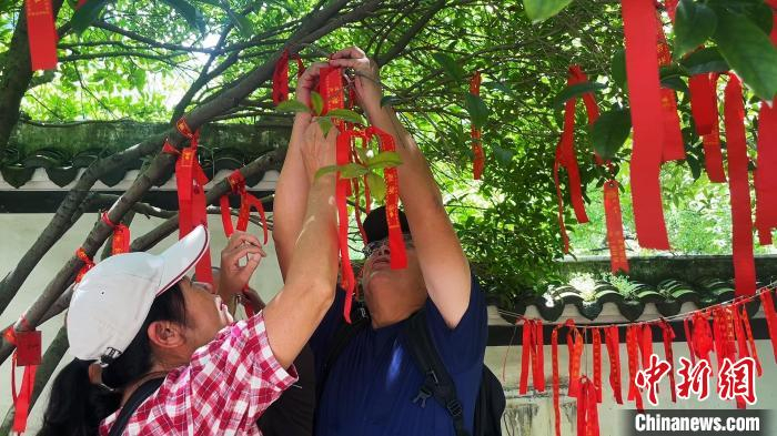 两岸同胞共同感受中华传统文化的魅力。张雅莉 摄