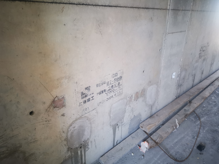 张淑贤/摄