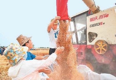 农民在河南省洛阳市瀍河回族区白马寺镇翟泉村麦田收获小麦。黄政伟摄（人民视觉）