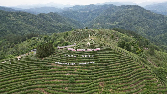 幸福安康亮丽底色——"爱卫新征程 健康中国行"主题活动走进陕西安康