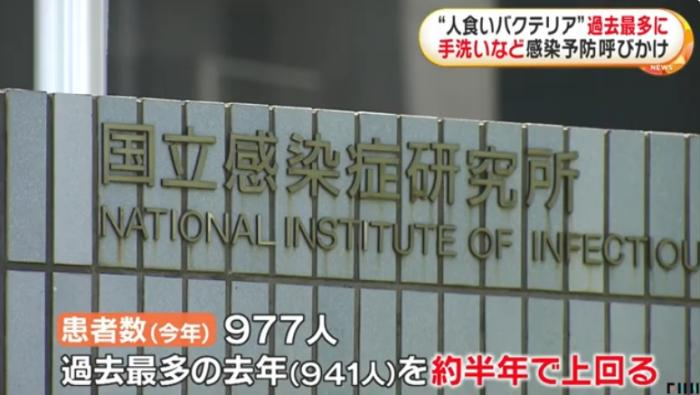 日本"食人菌"肆虐 2024年感染人数已超2023全年