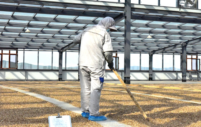 工人在晾晒药材。 北药集团供图