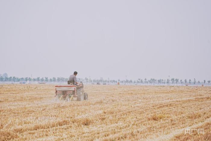 安阳市滑县农户正在播种玉米（央广网记者 张羲轮 摄）