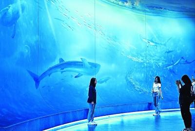     观众在位于天津市滨海新区的国家海洋博物馆参观。新华社发