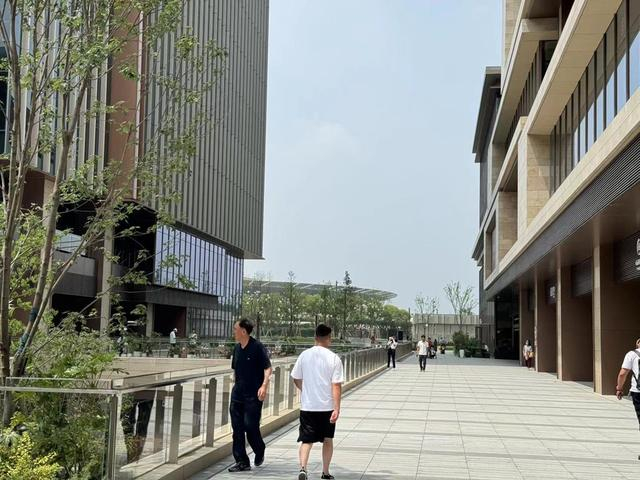 项目内可看到上海南站 舒抒 摄